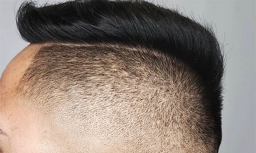 Haircut service at Salon Lamont Salt Lake City